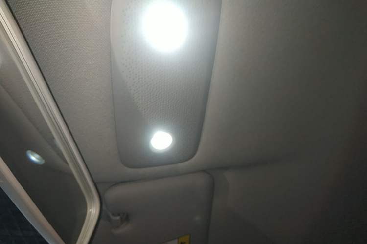 Used Leapmotor T03 2023 310 Lite Edition Headliner