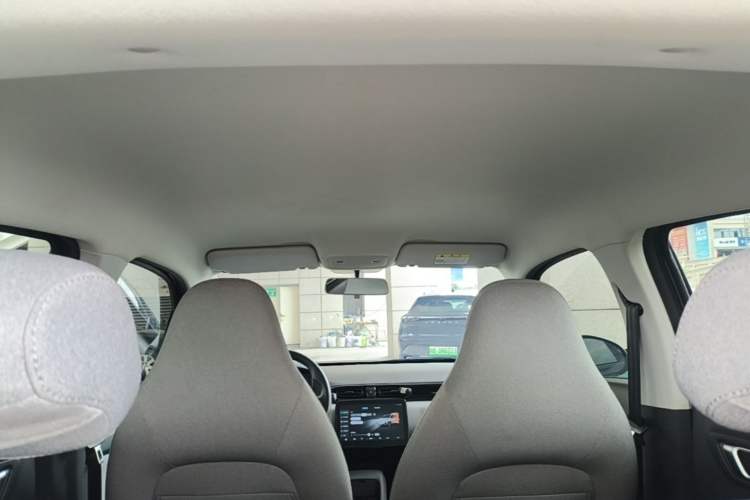 Used Leapmotor T03 2023 310 Lite Edition Headliner