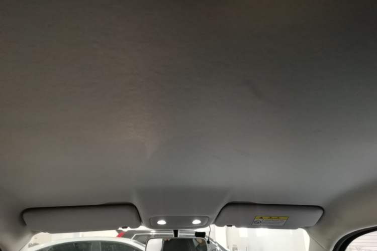 Used Leapmotor T03 2023 403 Lite Edition Headliner