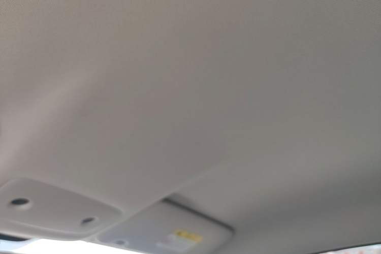 Used Leapmotor T03 2023 200 Lite Edition Headliner