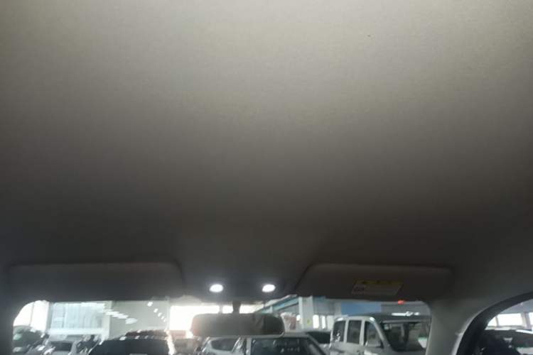 Used Leapmotor T03 2023 310 Lite Edition Headliner