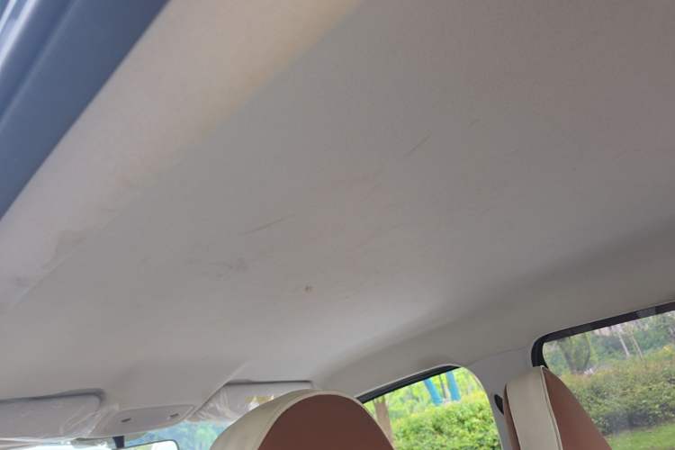 Used Leapmotor T03 2023 403 Lite Edition Headliner