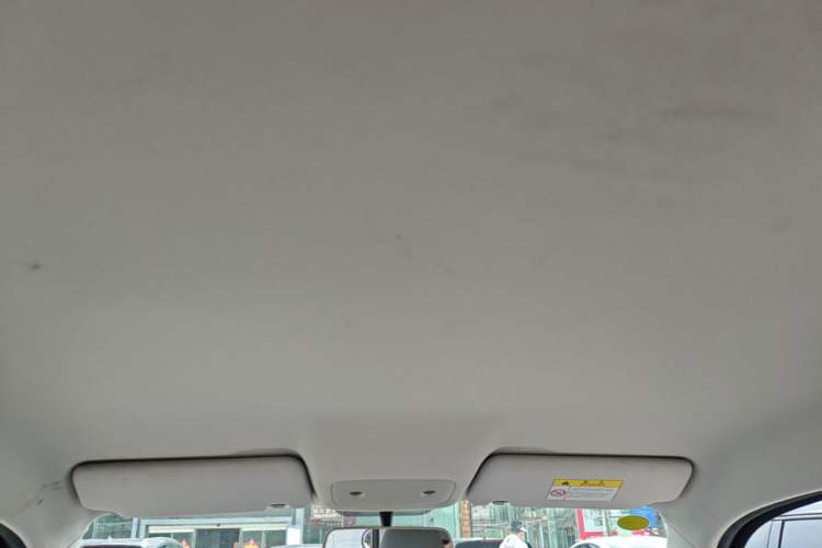 Used Leapmotor T03 2023 200 Lite Edition Headliner
