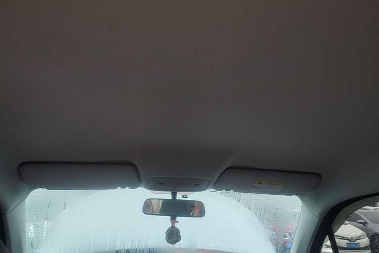 Used Leapmotor T03 2023 310 Lite Edition Headliner
