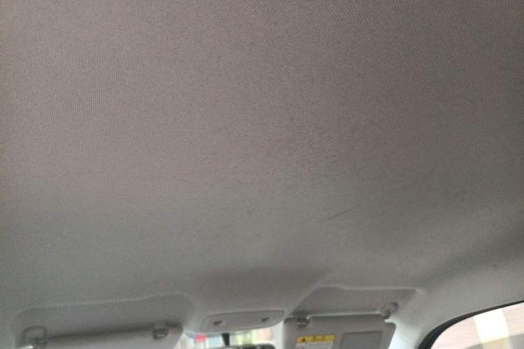 Used Leapmotor T03 2023 200 Lite Edition Headliner