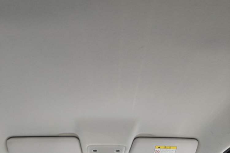 Used Leapmotor T03 2023 310 Lite Edition Headliner