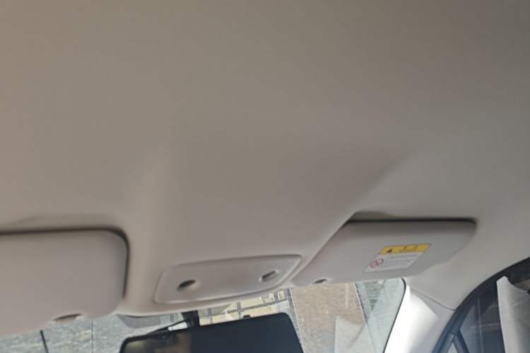 Used Leapmotor T03 2023 310 Lite Edition Headliner