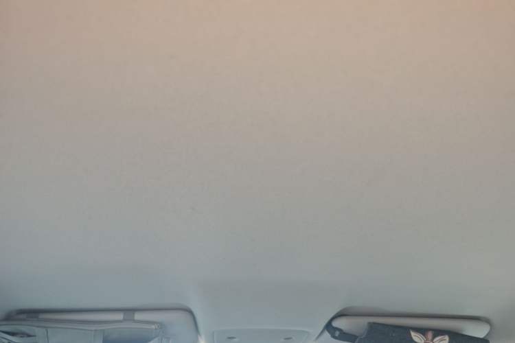 Used Leapmotor T03 2023 310 Lite Edition Headliner