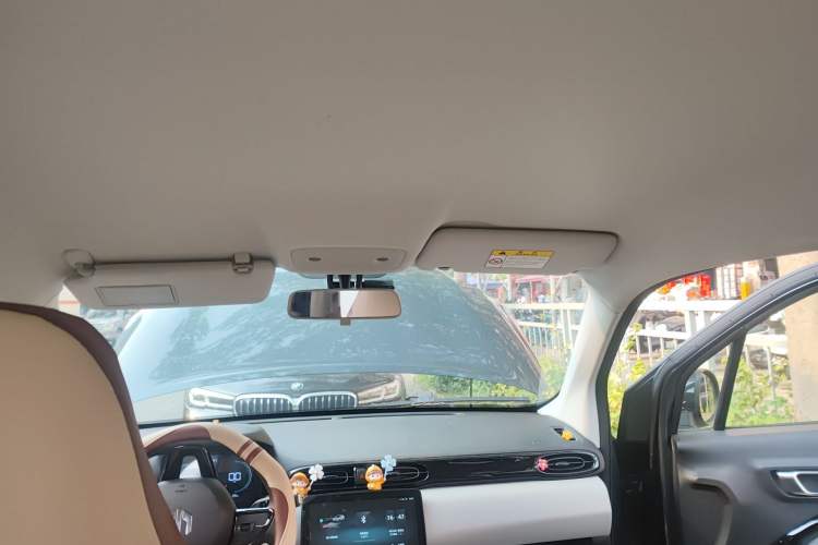 Used Leapmotor T03 2023 310 Lite Edition Headliner