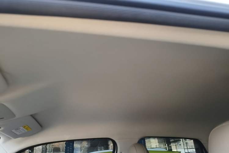 Used Leapmotor T03 2023 310 Lite Edition Headliner