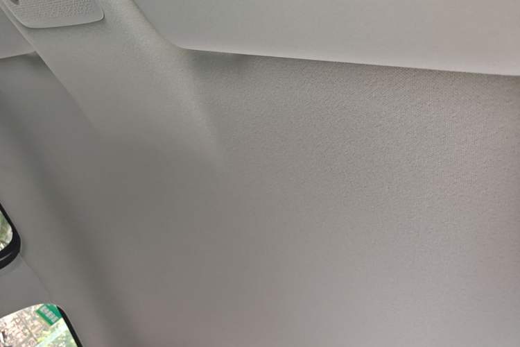 Used Leapmotor T03 2023 200 Lite Edition Headliner