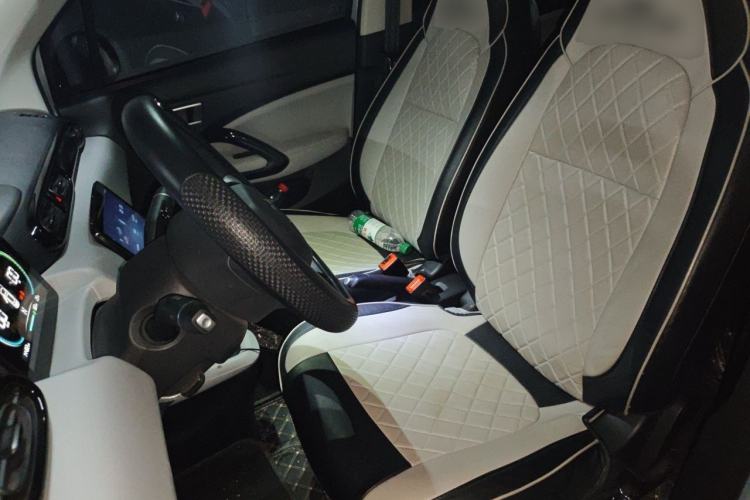 Used Leapmotor T03 2023 200 Lite Edition Left Front Seat