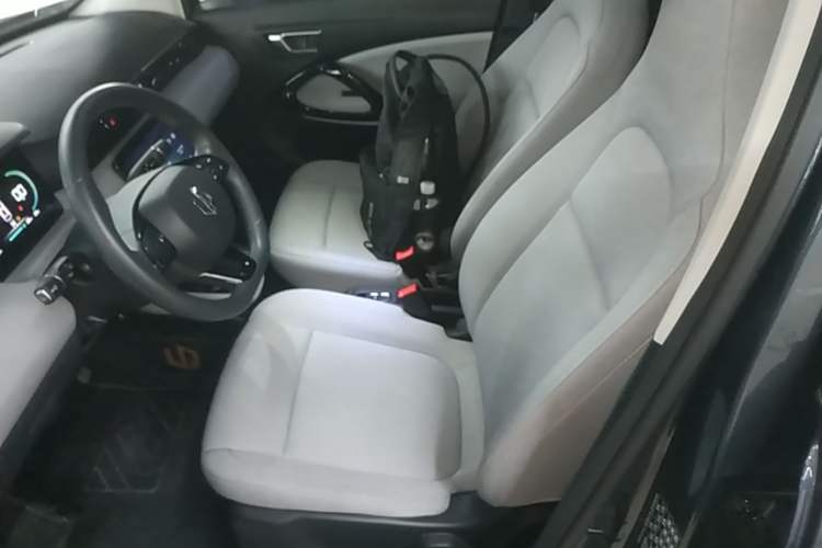 Used Leapmotor T03 2023 310 Lite Edition Left Front Seat