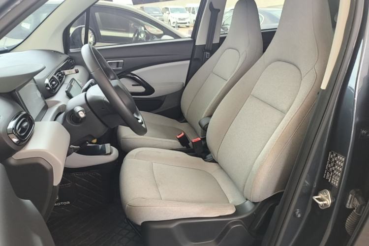 Used Leapmotor T03 2023 310 Lite Edition Left Front Seat