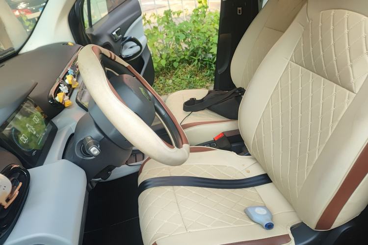 Used Leapmotor T03 2023 310 Lite Edition Left Front Seat