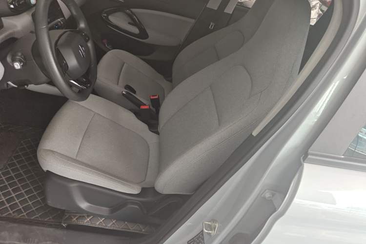 Used Leapmotor T03 2023 200 Lite Edition Left Front Seat