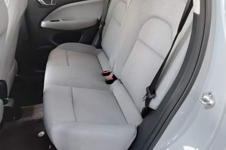 Used Leapmotor T03 2023 310 Lite Edition Left Rear Seat