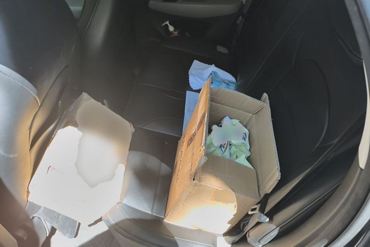 Used Leapmotor T03 2023 310 Lite Edition Left Rear Seat
