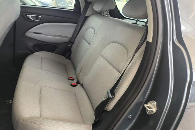 Used Leapmotor T03 2023 310 Lite Edition Left Rear Seat