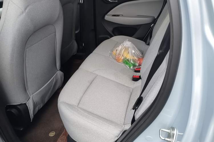 Used Leapmotor T03 2023 310 Lite Edition Left Rear Seat