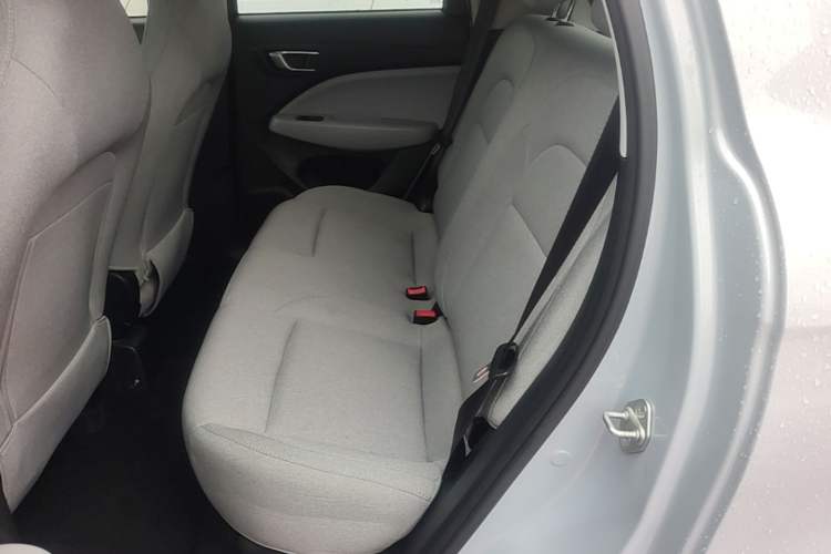 Used Leapmotor T03 2023 310 Lite Edition Left Rear Seat
