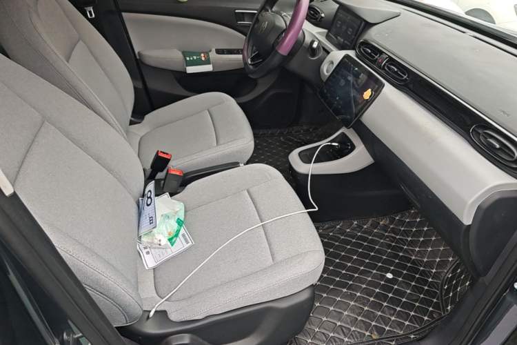 Used Leapmotor T03 2023 200 Lite Edition Right Front Seat