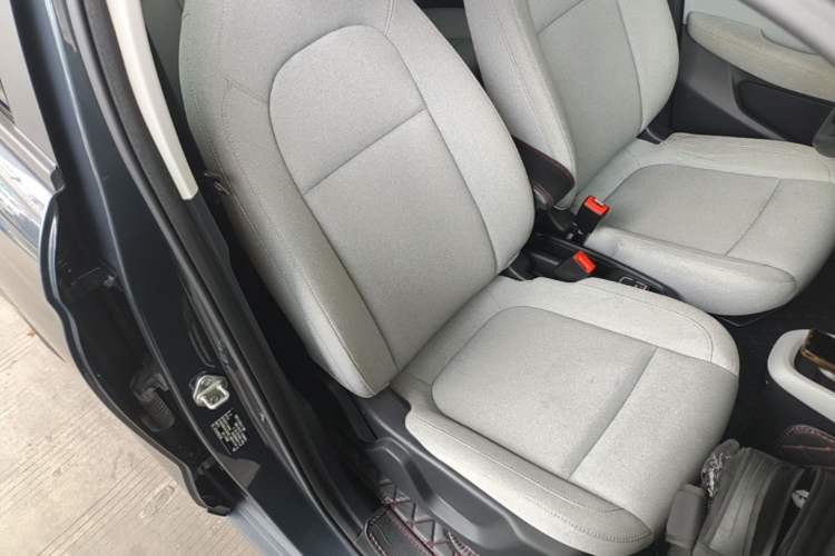 Used Leapmotor T03 2023 310 Lite Edition Right Front Seat