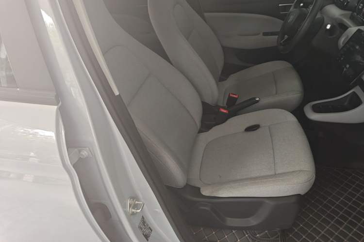 Used Leapmotor T03 2023 200 Lite Edition Right Front Seat