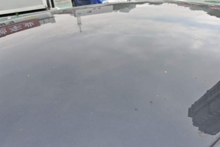 Used Leapmotor T03 2023 200 Lite Edition Roof