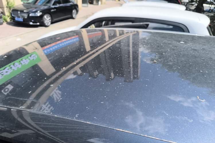 Used Leapmotor T03 2023 200 Lite Edition Roof