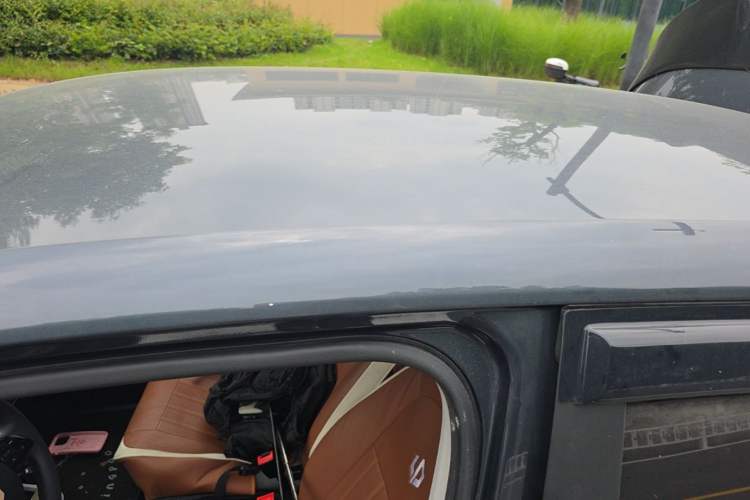 Used Leapmotor T03 2023 403 Lite Edition Roof
