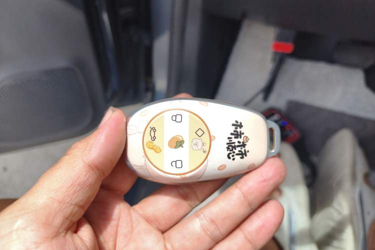 Used Leapmotor T03 2023 310 Lite Edition Vehicle Key