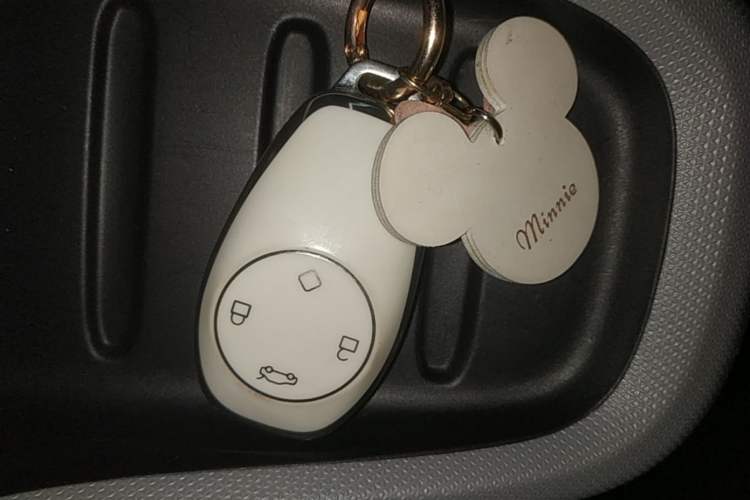 Used Leapmotor T03 2023 200 Lite Edition Vehicle Key