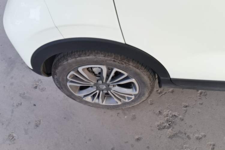 Used Leapmotor T03 2023 403 Lite Edition Exterior 5
