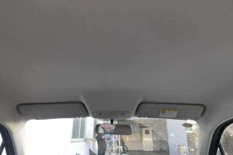 Used Leapmotor T03 2023 403 Lite Edition Headliner