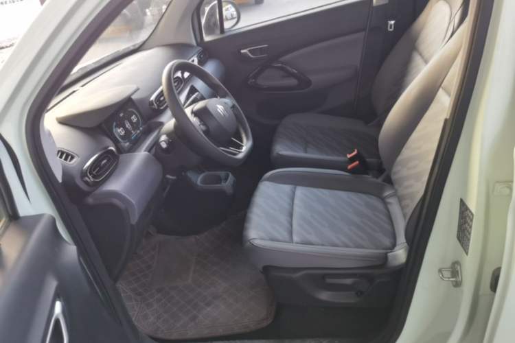 Used Leapmotor T03 2023 403 Lite Edition Left Front Seat
