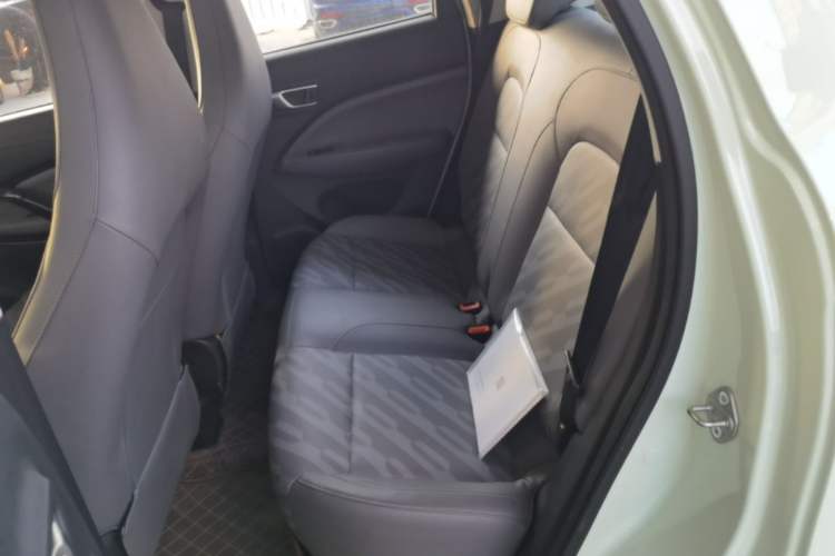 Used Leapmotor T03 2023 403 Lite Edition Left Rear Seat