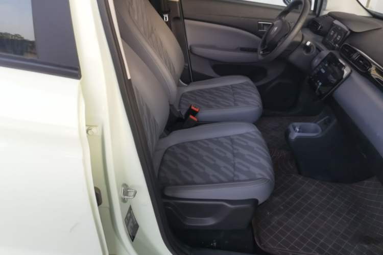 Used Leapmotor T03 2023 403 Lite Edition Right Front Seat