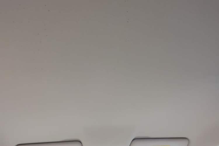 Used Leapmotor T03 2023 200 Lite Edition Headliner
