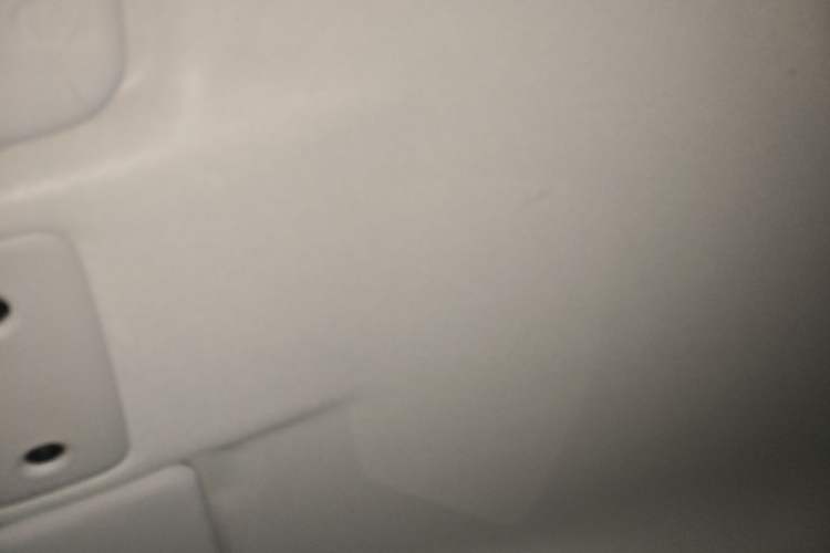 Used Leapmotor T03 2023 310 Lite Edition Headliner