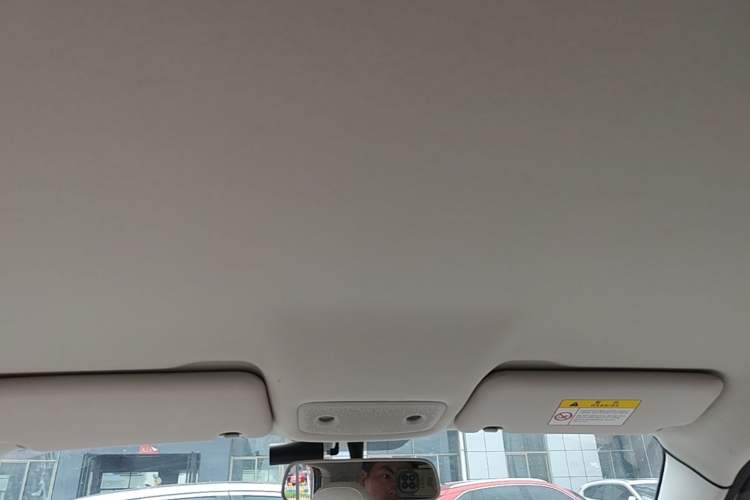 Used Leapmotor T03 2023 403 Lite Edition Headliner