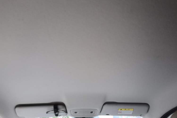 Used Leapmotor T03 2023 200 Lite Edition Headliner