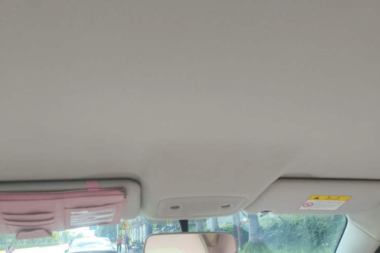 Used Leapmotor T03 2023 310 Lite Edition Headliner