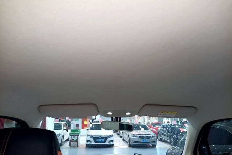 Used Leapmotor T03 2023 310 Lite Edition Headliner
