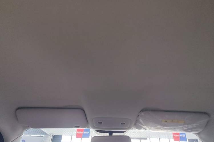 Used Leapmotor T03 2023 310 Lite Edition Headliner