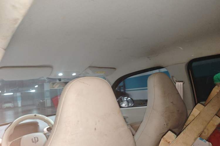 Used Leapmotor T03 2023 310 Lite Edition Headliner