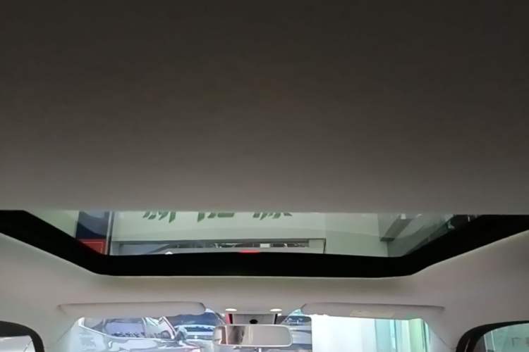 Used Leapmotor T03 2023 403 Smart Edition Headliner