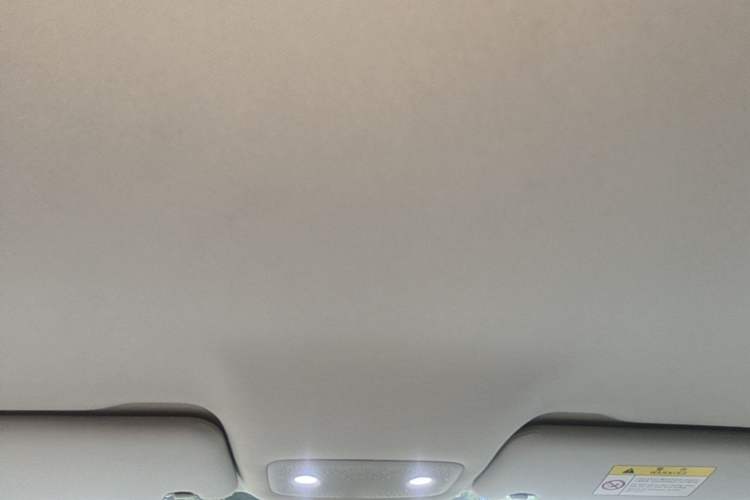 Used Leapmotor T03 2023 310 Lite Edition Headliner