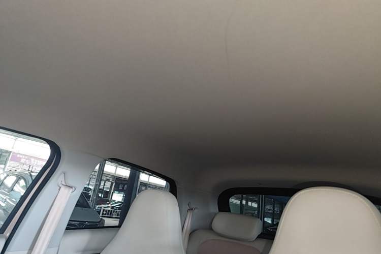 Used Leapmotor T03 2023 403 Lite Edition Headliner