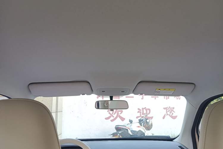 Used Leapmotor T03 2023 200 Lite Edition Headliner